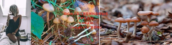 дистиллят марихуана Нея