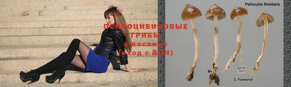 кокаин колумбия Алзамай