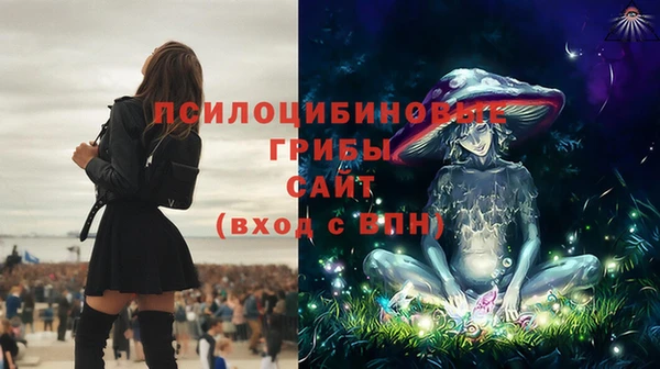mix Новозыбков