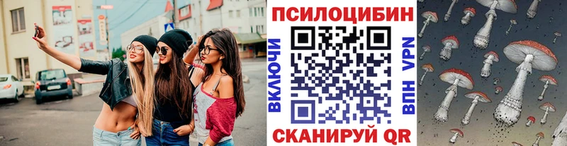 кракен сайт  Багратионовск  Псилоцибиновые грибы GOLDEN TEACHER 